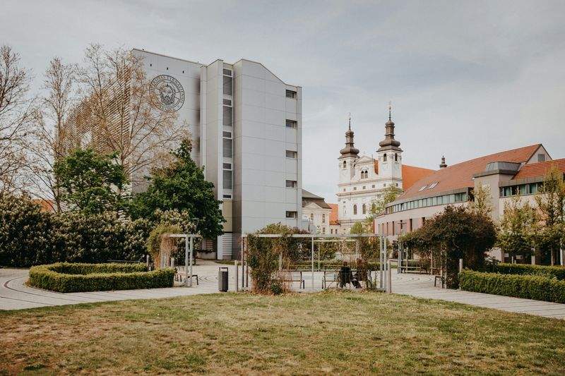 未来学園 - Image 1